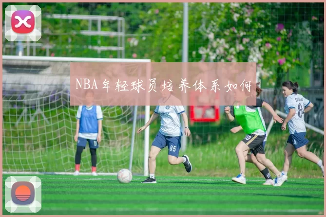 NBA年轻球员培养体系如何
