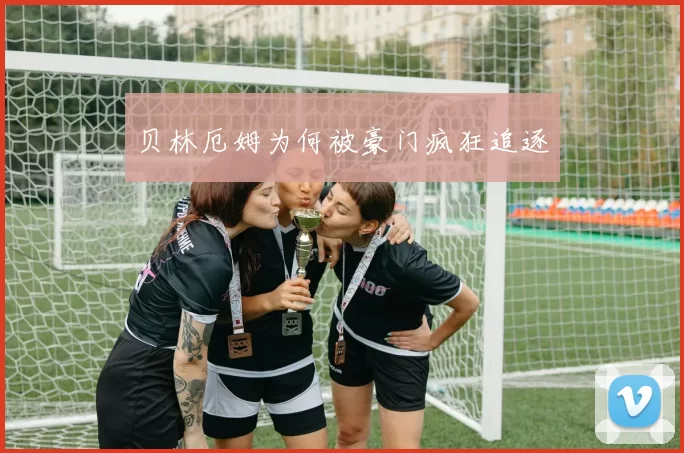 贝林厄姆为何被豪门疯狂追逐